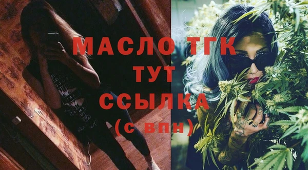 индика Анжеро-Судженск